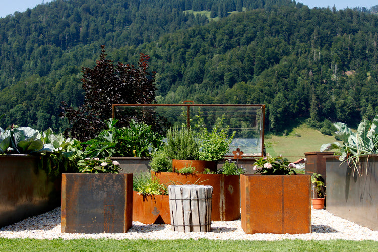 Garten | Anbau
