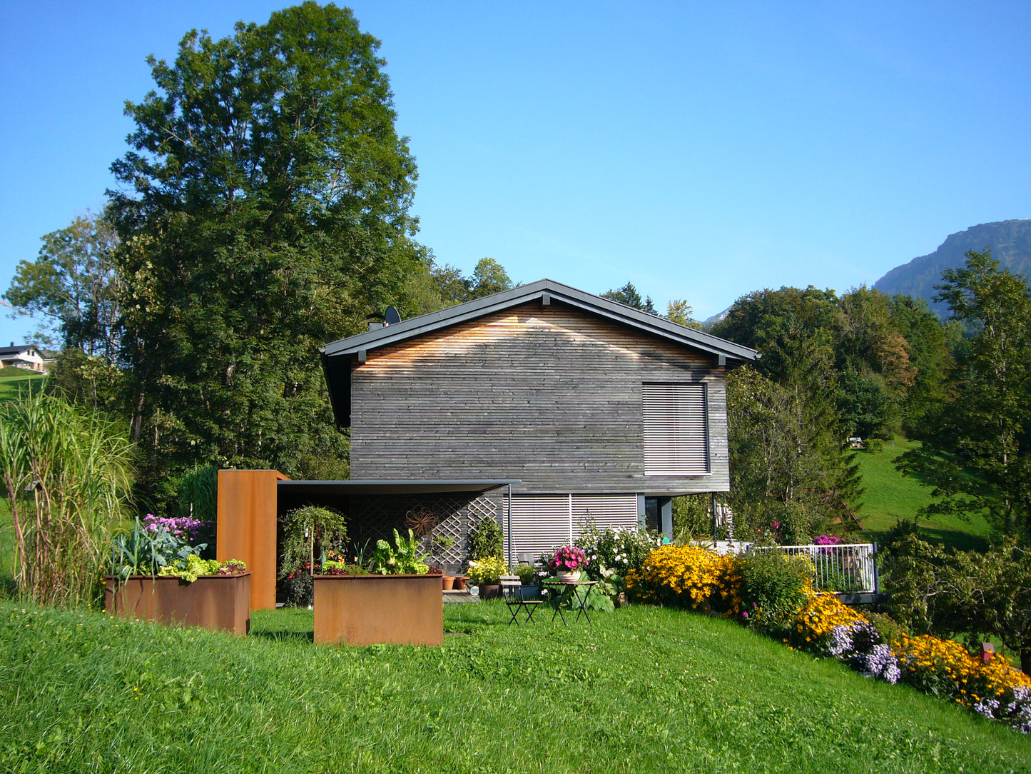 Sichtschutz