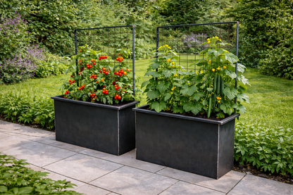 Hochbeete mit Rankgitter